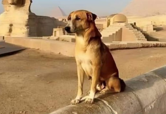 5788879410535202410210925482548